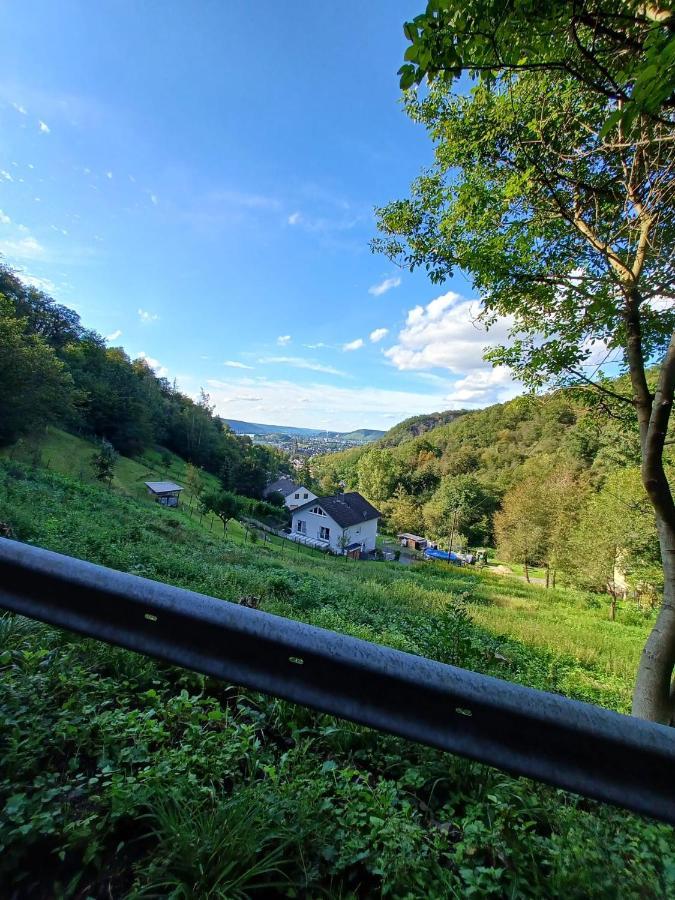 Ferienwohnung Neli Am Rhein Rheinbrohl エクステリア 写真