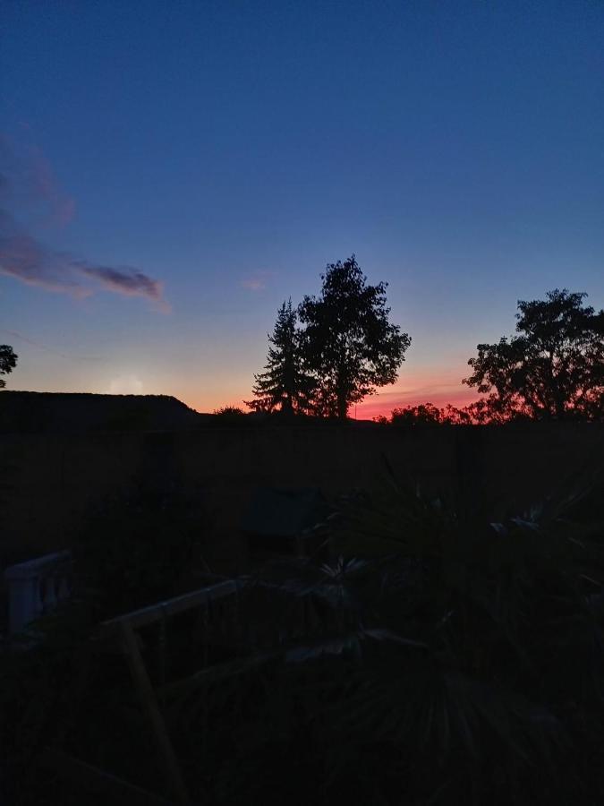 Ferienwohnung Neli Am Rhein Rheinbrohl エクステリア 写真