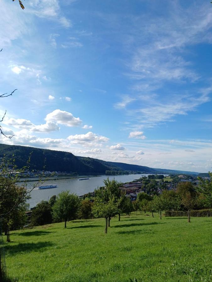 Ferienwohnung Neli Am Rhein Rheinbrohl エクステリア 写真