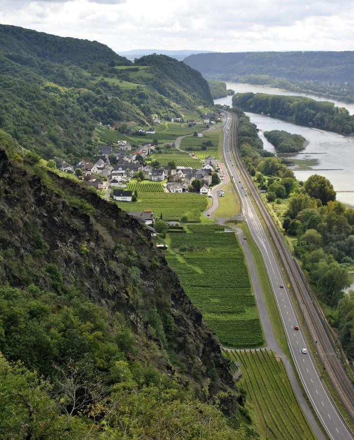 Ferienwohnung Neli Am Rhein Rheinbrohl エクステリア 写真