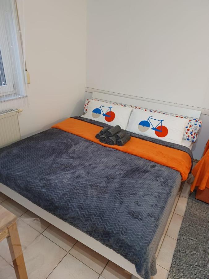 Ferienwohnung Neli Am Rhein Rheinbrohl エクステリア 写真