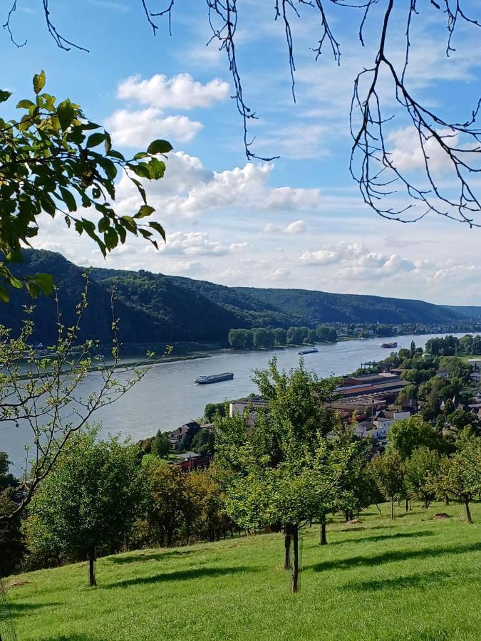 Ferienwohnung Neli Am Rhein Rheinbrohl エクステリア 写真