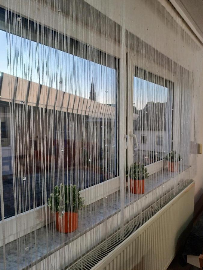 Ferienwohnung Neli Am Rhein Rheinbrohl エクステリア 写真